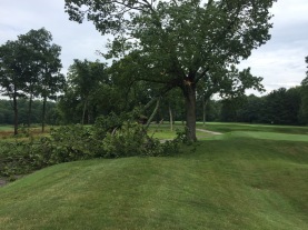 The Maple tree that sits between 10 green and 15 tee took some damage from an overnight storm.