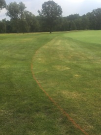 These lines resemble what will be the new fairway edges as well as the new fescue areas